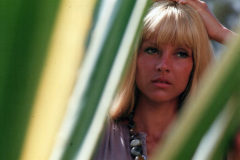 1969-Afrique-cactus-4