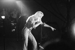 19733