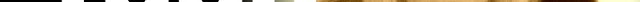 Site officiel de Sylvie Vartan